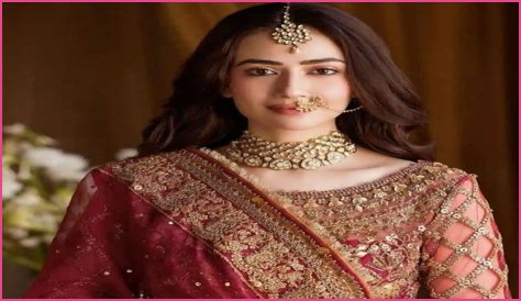 Sana Javed Biography, Wiki, Career, Age, Husband, Net Worth